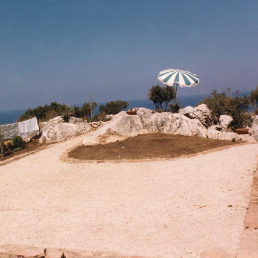 Il giardino terrazzato in una foto d'epoca
